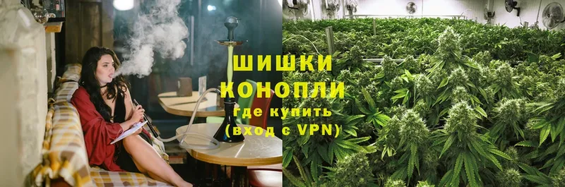 Бошки Шишки SATIVA & INDICA  даркнет сайт  Городовиковск 